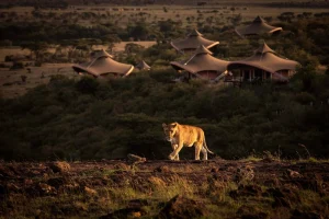 Mahali mzuri