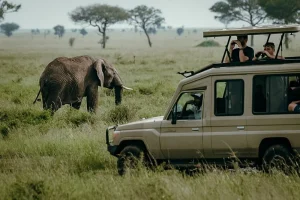 Best time to get to masai mara