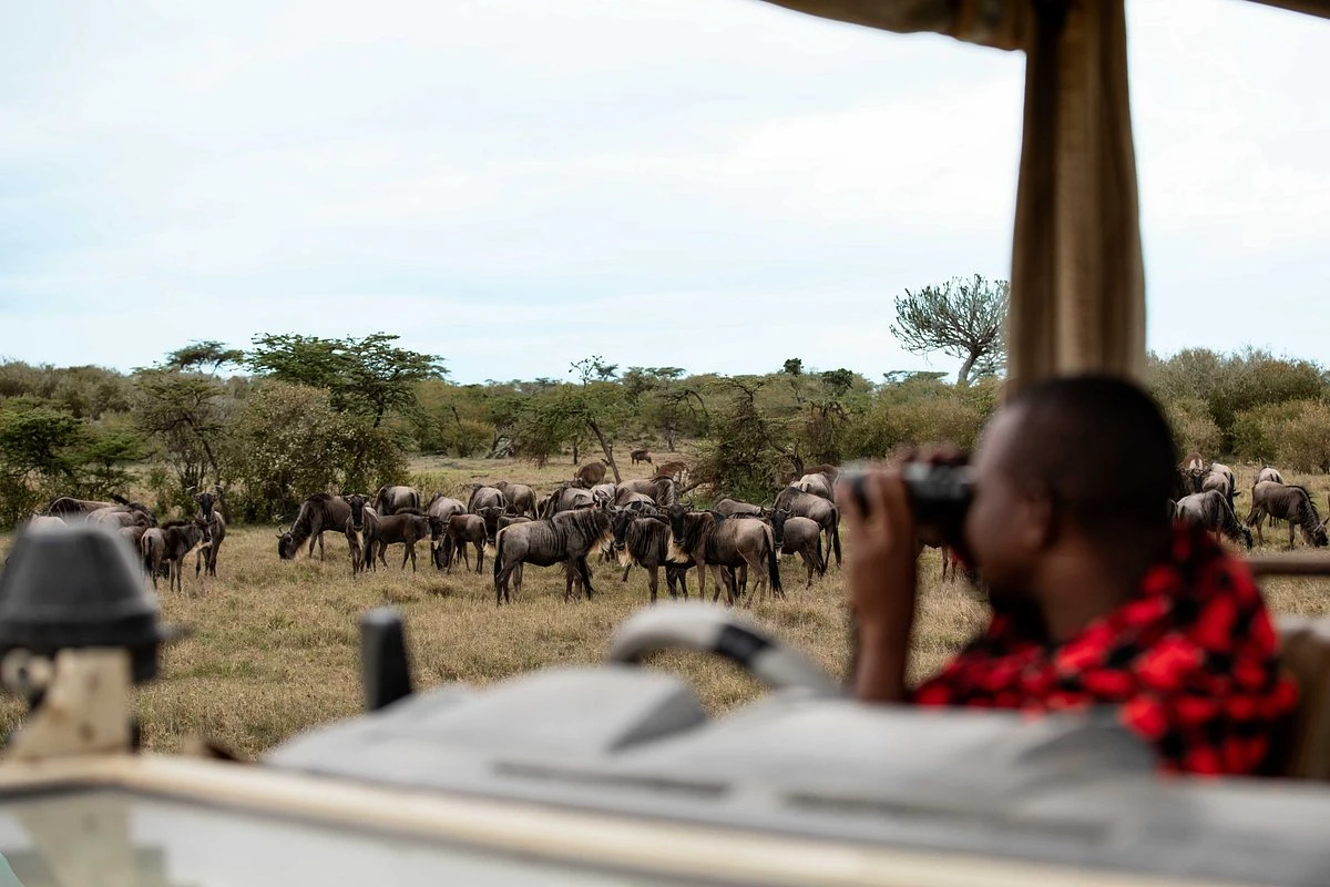 Mahali Mzuri