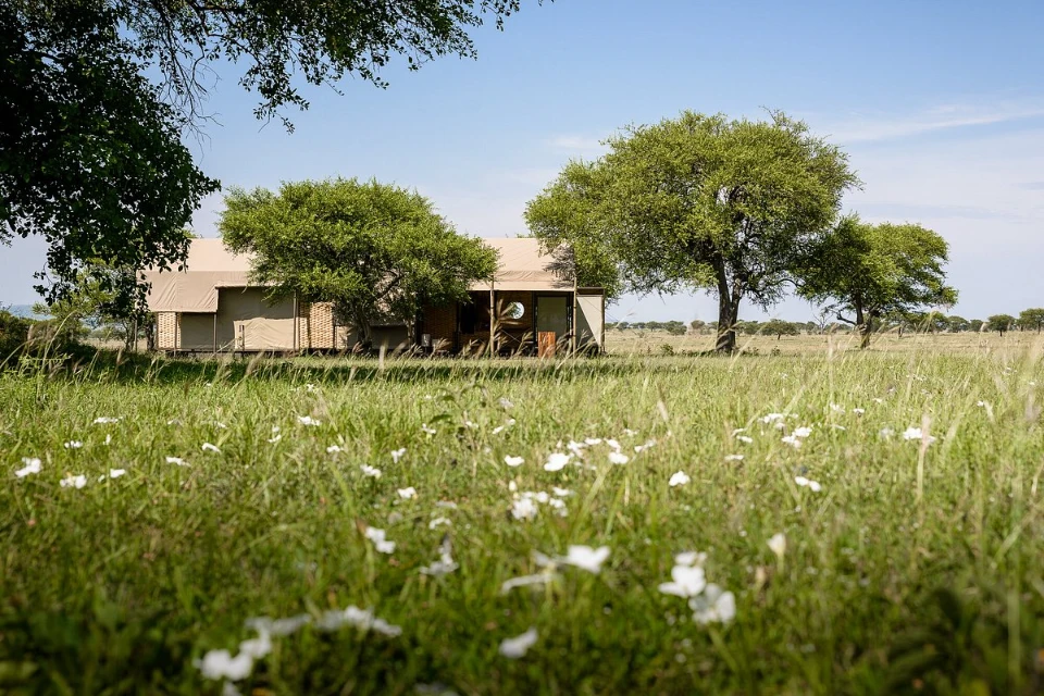 Sabora Tented Camp