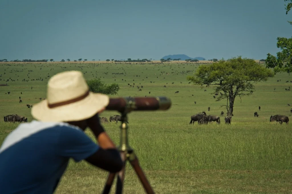 Sabora Tented Camp