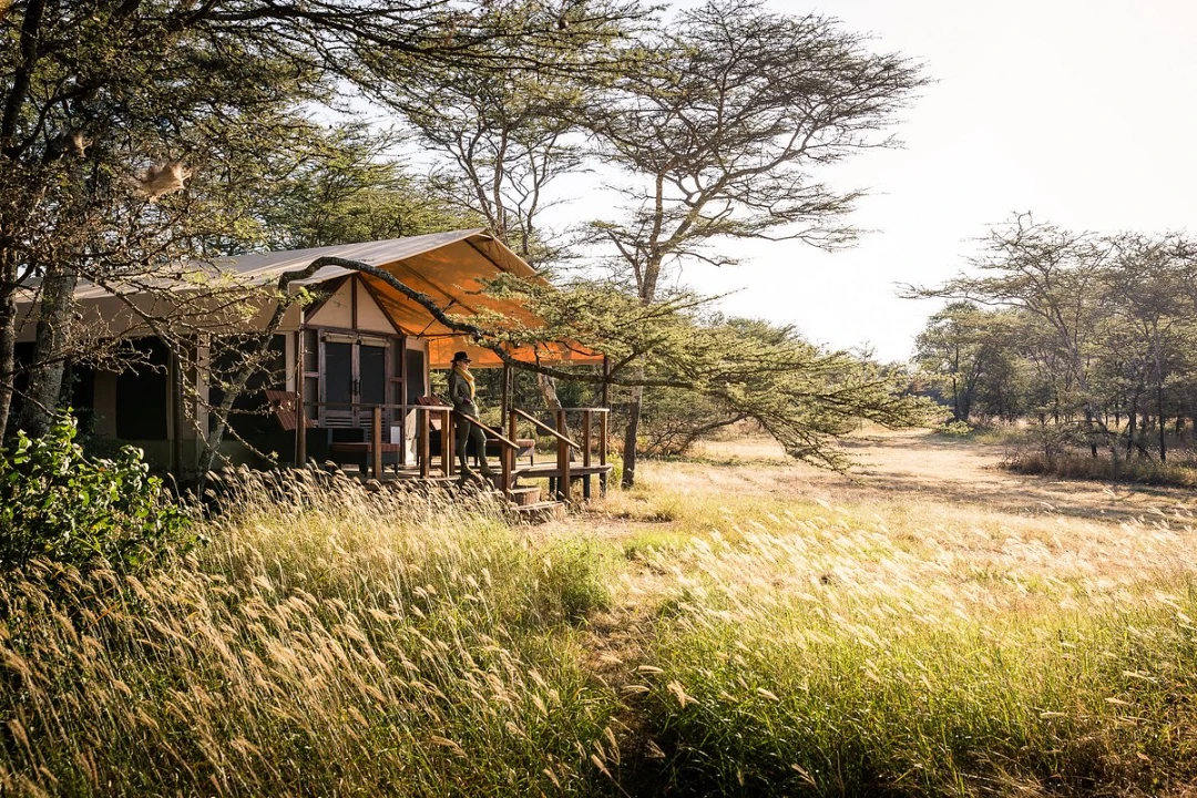 Sanctuary Kusini Safari Camp